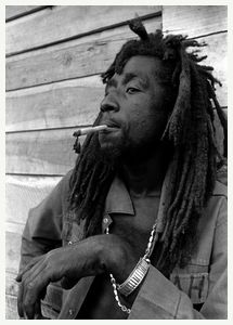 rastaman