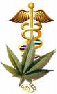 Marijuana health